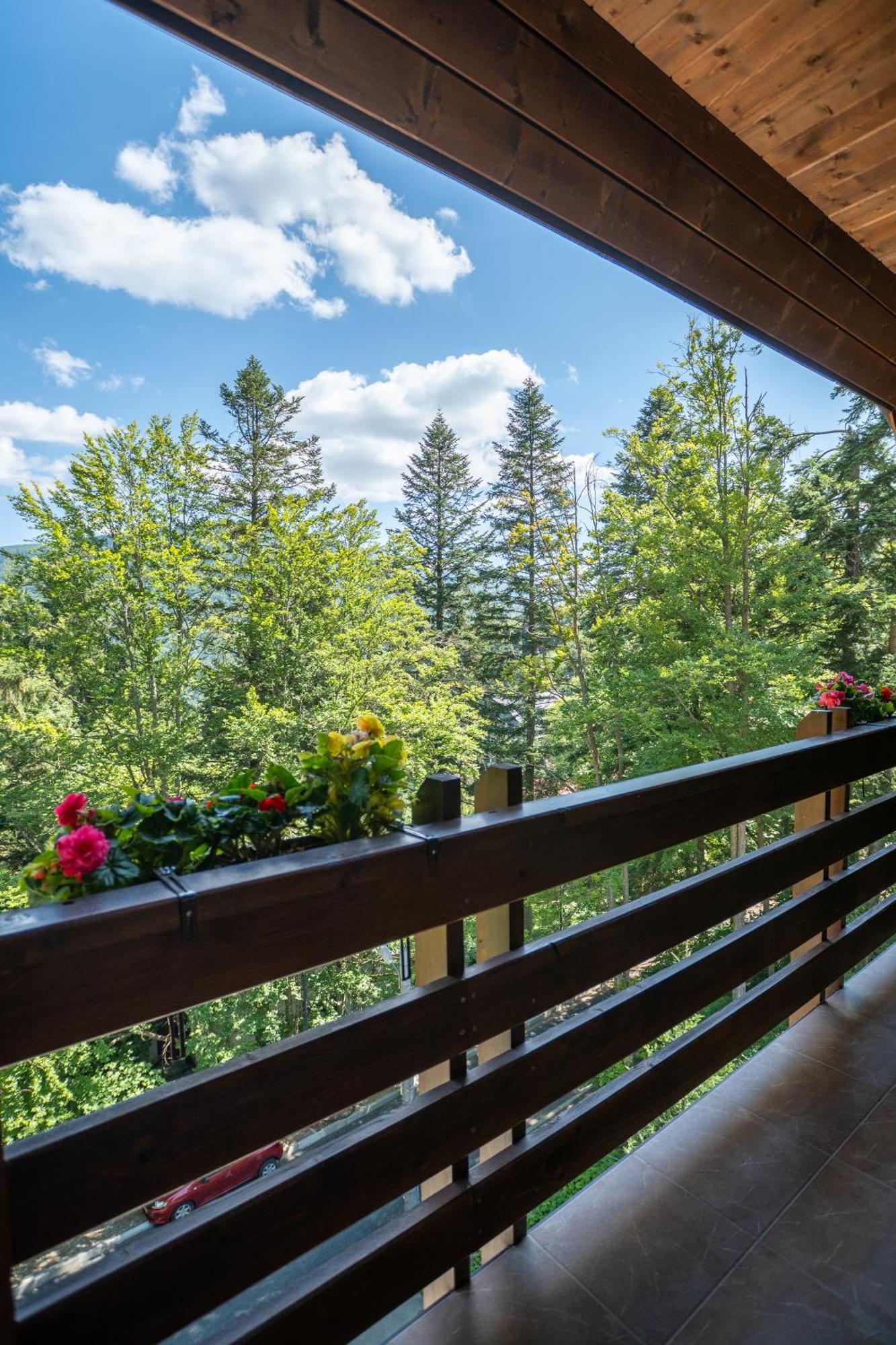 Opus Villa シナヤ エクステリア 写真 A balcony in the Alps