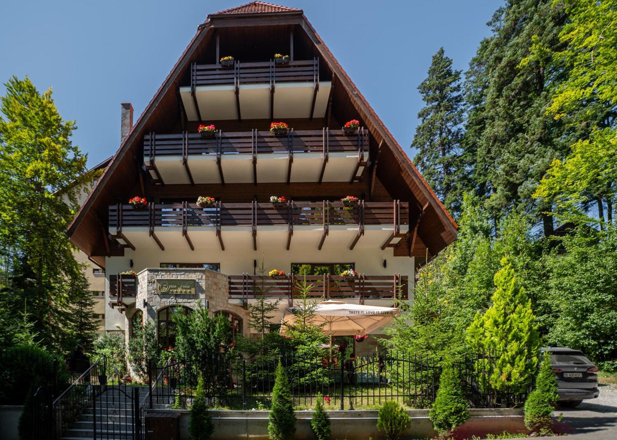 Opus Villa シナヤ エクステリア 写真 The chalet in 2012