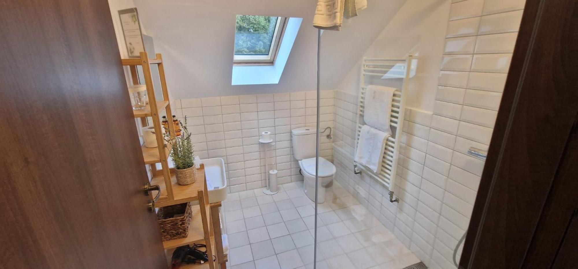Opus Villa シナヤ エクステリア 写真 Bathroom with a shower